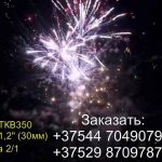 Полет Пегаса (FP-B306) 6703 салют