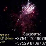 Полет Пегаса (FP-B306) 6704 салют