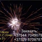 Полет Пегаса (FP-B306) 6705 салют